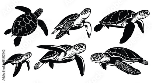 Black silhouettes of sea turtles swimming on white background
