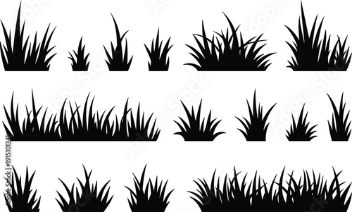 Grass silhouette set, wild plants and bushes collection, natural meadow vegetation elements, black grass shapes isolated on white background