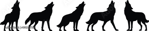Howling wolf silhouette collection, wild animal poses, wildlife illustration, black wolf shapes, nature predator design, isolated white background