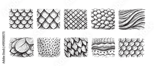 Artistic compilation of hand-drawn animal scale textures, black on white. Ideal for background design, illustration projects, fantasy art, textiles or digital papers.