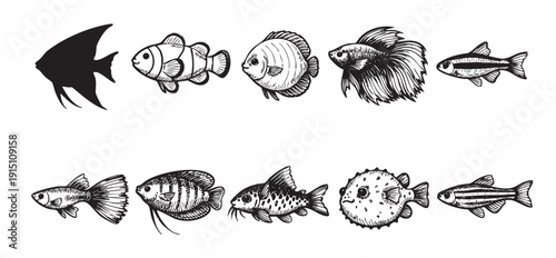 A row of sketched fish species including angelfish, clownfish, betta, puffer, guppy, and others. Great for educational materials, prints, or website graphics.