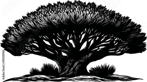 A bold, stylized, black and white illustration of a large tree with detailed leaves and branches