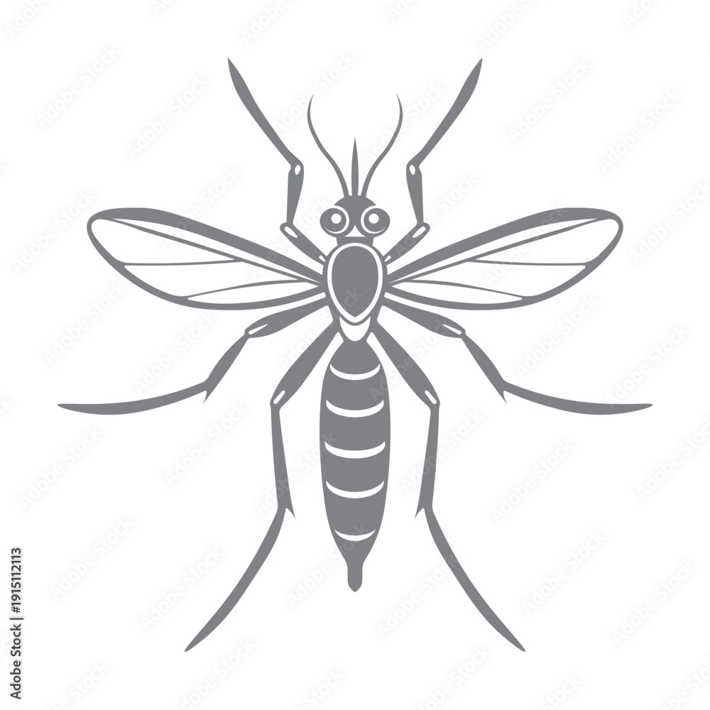 Obraz premium mosquito