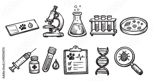 Whimsical vet doodle set with paw prints, microscope, and dna. Great for use in pet health infographics and animal care website designs.
