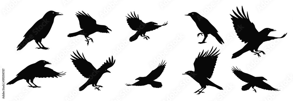 Fototapeta premium collection featuring black silhouettes of isolated crows