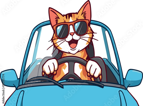 a cute cat drive on a car
