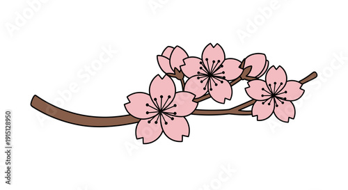 Pink Cherry Blossoms on Branch.