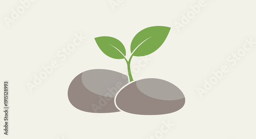Small Green Sprout Between Stones.