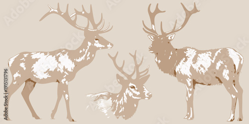 Stylized illustration of two adult deer and a fawn in a neutral tone