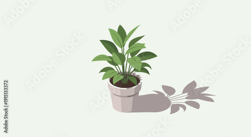 Minimalist illustration of a green plant in a pot casting a shadow, isolated on a light background. Great for graphic design, websites, or social media.