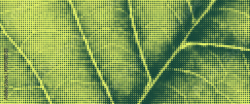 Halftone overlay resembling macro view leaf structure. Green dot texture. Vector banner for design and creative projects.