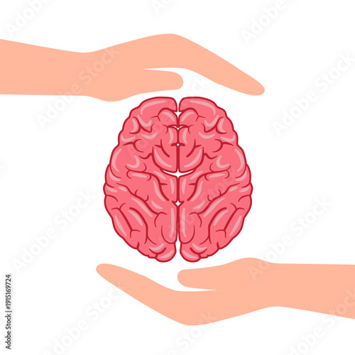 Doctor hands with brain. Growing mind in psychologist hand, mental health holding safety head, psychology therapy medical treatment science counseling vector illustration of human brain in hands