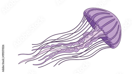 A graceful and detailed illustration of a purple jellyfish with long, flowing tentacles, depicted as if swimming through the water.