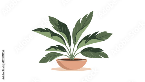 A simple and elegant vector illustration of a lush green houseplant with broad leaves, potted in a modern, wide, light brown ceramic bowl.
