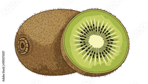 A realistic and detailed hand-drawn vector illustration of a kiwi fruit, showing the fuzzy brown skin and the vibrant green flesh of one cut in half.