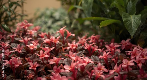 Tranquil spa garden with vibrant pink tropical flower and lush summer green foliage