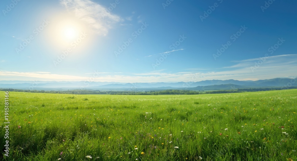 Obraz premium Animated landscape with a spacious green grass field and distant hills under a bright summer sky