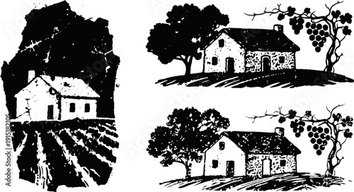 rustic countryside houses with vineyard, trees, and cultivated fields in vintage ink