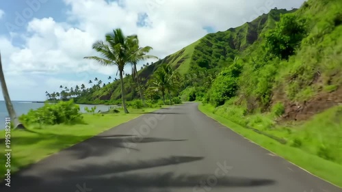 Tropical Road with Palm Trees and Ocean.