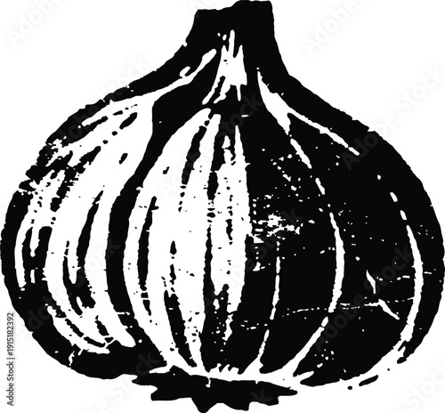 Garlic bulb illustration black and white vector drawing of a whole garlic clove vegetable
