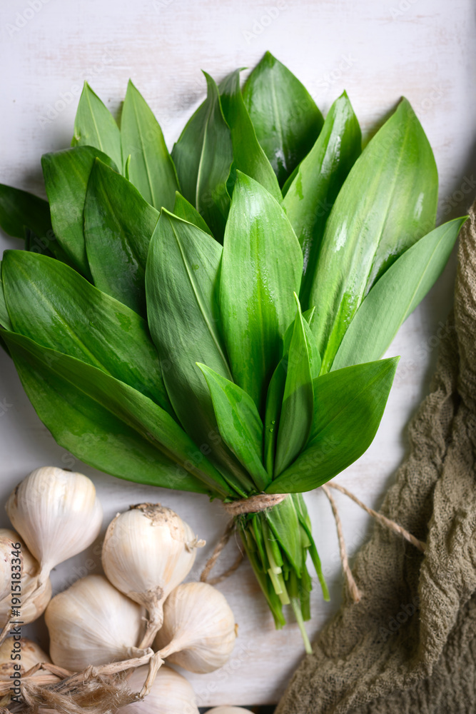 Fototapeta premium Fresh wild garlic leaves with garlic bulbs arranged on white rustic background. Natural green foliage highlights seasonal foraged food. Flat lay, top view