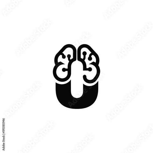 Stylized illustration of kidneys and urinary system from a frontal anatomical viewpoint