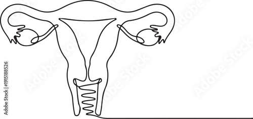 Minimalist Female Reproductive System Outline
