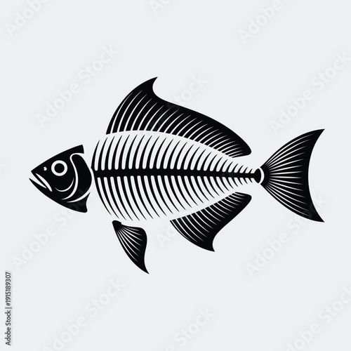 Detailed illustration of a fish skeleton against a light gray background