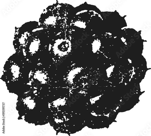 Blackberry fruit illustration fresh berry from branch organic natural healthy food, ripe wild black blackberries closeup textured drawing