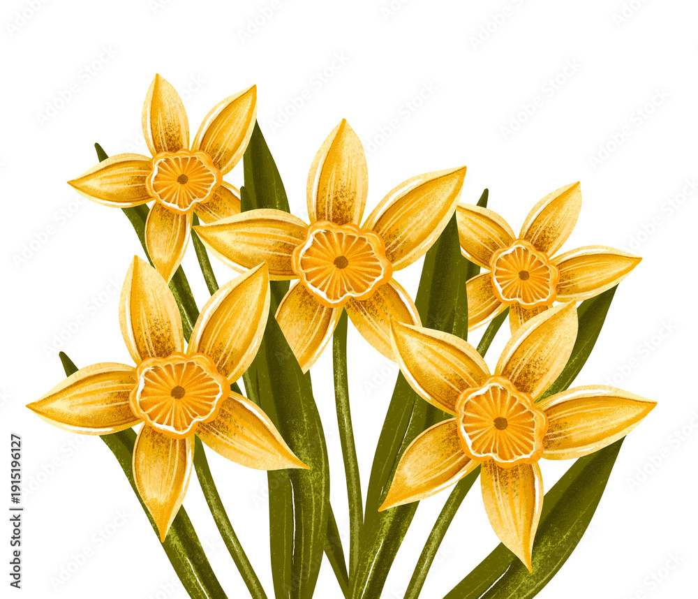 Obraz premium Hand Painted Yellow Daffodils Bouquet with Green Leaves on Light Background, Botanical Spring Floral Illustration