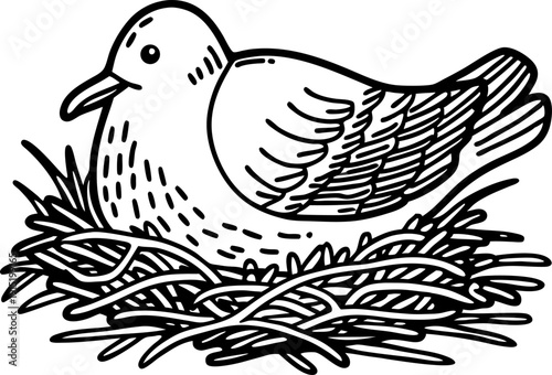 Bird sitting on nest with twigs and leaves nature wildlife living habitat illustration