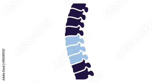 A stylized illustration of a human spine, with several lumbar vertebrae highlighted in light blue against a darker blue background.