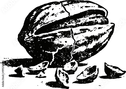 Black and white illustration of a cracked pecan nut with scattered shell pieces