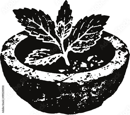 mint leaves growing in a round stone pot with textured surface