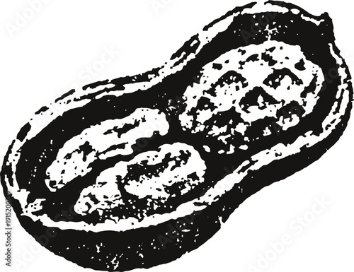 Single peeled peanut seed with shell and kernels detailed black silhouette illustration