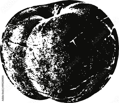 Close up black and white vintage illustration of a whole peach fruit with textured skin