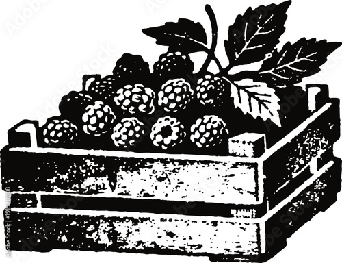 Wooden crate filled with ripe raspberries and leaves, rustic fresh fruit harvest illustration