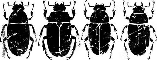 Four vintage silhouette beetles in a distressed grunge style, insect collection vector art