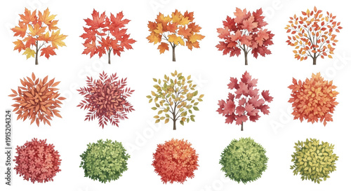 A diverse collection of isolated autumnal flora, including maple and oak treetops, rendered in soft watercolor illustration with translucent colors and feathered edges from an aerial plan view.