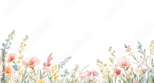 Watercolor floral border with charming summer meadow flowers on white background for card design