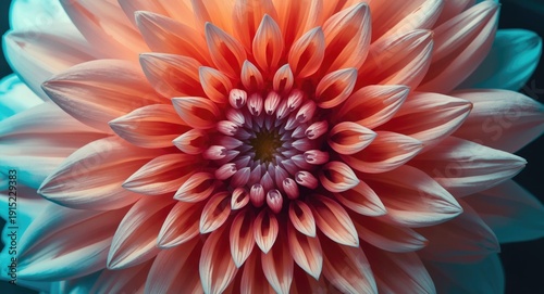 Macro photography depicting surreal dahlia bloom in pop art tones