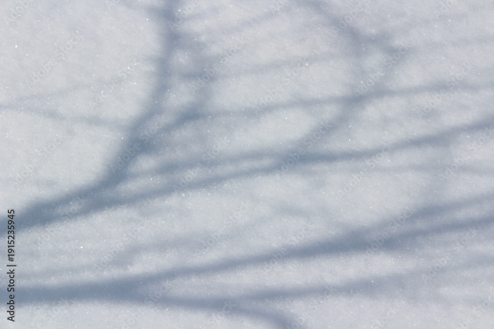 Obraz premium White snow texture background. Winter natural backdrop with fresh snowfall and cold seasonal atmosphere.