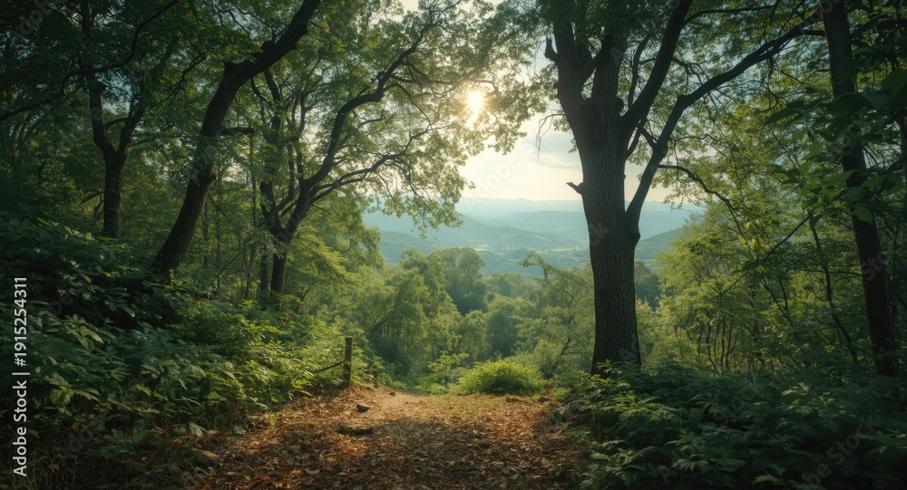 Obraz premium Dense Sal tree environment developing on sloping hillside enriched by an impressive backdrop and copy space