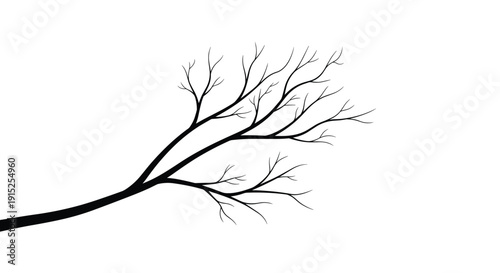 Black silhouette of a bare, leafless tree branch extending across the frame, isolated on a stark white background for a minimalist look.