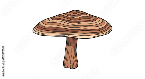 Simple cartoon illustration of a single wild mushroom with a brown, striped cap and a thick stem, isolated on a white background.