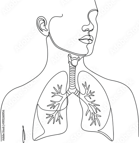 Human Respiratory System with Lungs and Trachea Line Art Illustration Representing Anatomy Study, Breathing Function, Medical Education and Healthcare Concept