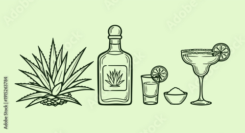 Vector line art illustration of Mexican agave plant, spirit bottle, shot glass, and classic margarita cocktail with lime and salt
