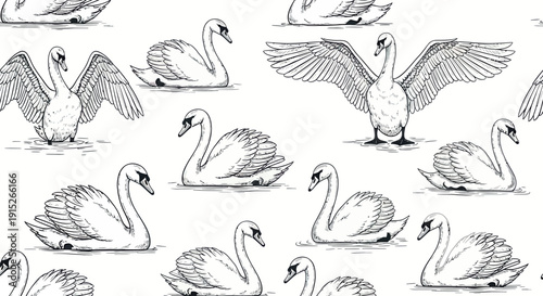 Elegant black and white line drawing of graceful swans in different swimming and wingspreading poses, perfect for decorative prints, textile applications, or packaging.