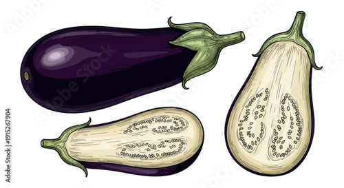 Fresh purple eggplants depicted whole and halved showcasing their vibrant color and inner texture, ideal for gourmet recipe books, healthy eating guides, and organic food advertising.