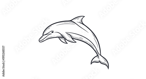 Stylized black outline drawing of a graceful dolphin leaping, ideal for naturefocused branding, educational content, aquatic sports logos, or environmental awareness projects.